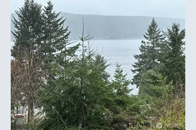 93 NE Marine View Drive, Belfair, WA 98528 - Photo 12