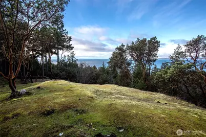 7 Spinnaker Lane, Friday Harbor, WA 98250 - Photo 24