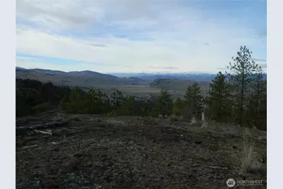 28 Ridgeline Road, Tonasket, WA 98855 - Photo 10