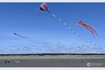 1399 Storm King Avenue SW, Ocean Shores, WA 98569 - Photo 24