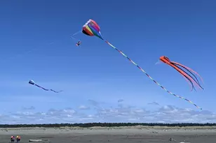 1399 Storm King Ave SW, Ocean Shores, WA 98569 - Photo 24