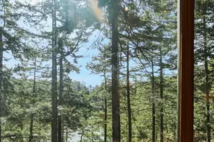 2793 Pondilla Way, Coupeville, WA 98239 - Photo 4