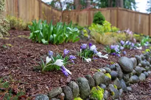 14542 167th Pl SE, Renton, WA 98059 - Photo 30