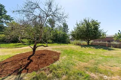 3984 Bancroft Road, Bellingham, WA 98225 - Photo 38