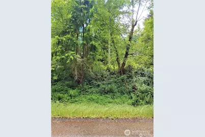 11909 11911 Country Club Drive, Anderson Island, WA 98303 - Photo 1