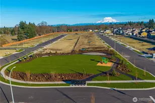 9868 Ferns Loop SE, Yelm, WA 98597 - Photo 24