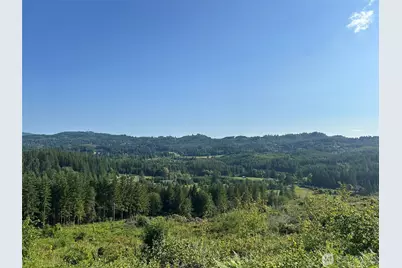 0 NE 206th Avenue, Amboy, WA 98601 - Photo 36