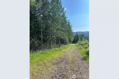 0 NE 206th Avenue, Amboy, WA 98601 - Photo 38