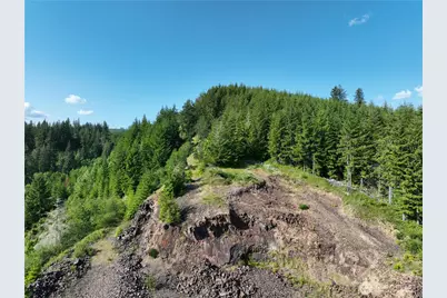 0 NE 206th Avenue, Amboy, WA 98601 - Photo 32