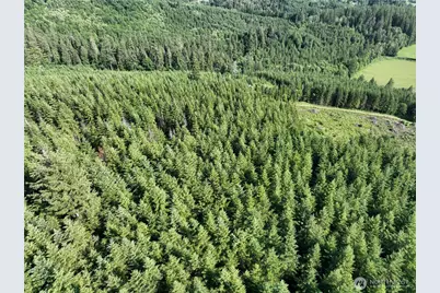 0 NE 206th Avenue, Amboy, WA 98601 - Photo 14