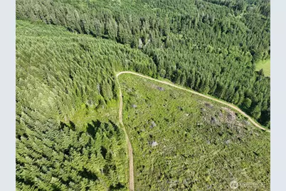 0 NE 206th Avenue, Amboy, WA 98601 - Photo 6