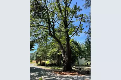 3255 S East Camano Drive, Camano Island, WA 98282 - Photo 18