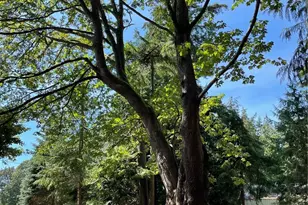 3255 S East Camano Dr, Camano Island, WA 98282 - Photo 18