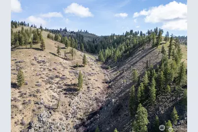 12 Mile Entiat River Road, Entiat, WA 98822 - Photo 14