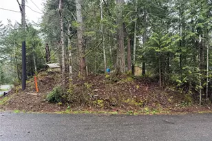 11 Bayview Ct, Brinnon, WA 98320 - Photo 1