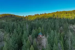 6323 N Lake Cushman Rd, Hoodsport, WA 98548 - Photo 10