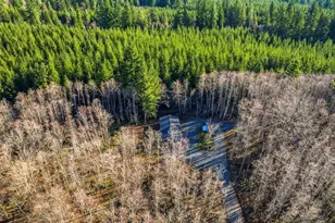 142 Wild Daisy Dr, Ariel, WA 98603 - Photo 26