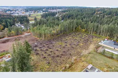 0 Nhn Goldie Road, Oak Harbor, WA 98277 - Photo 6