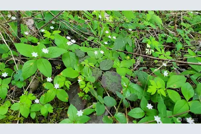 0 Lot 2 Harborview Lane, Orcas Island, WA 98243 - Photo 18