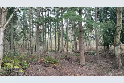 1111 Enchanted Pkwy S, Federal Way, WA 98003 - Photo 4