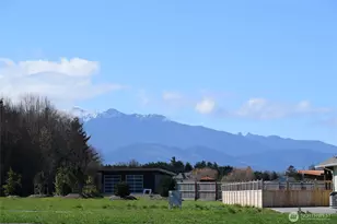 260 Secluded Way, Sequim, WA 98382 - Photo 34