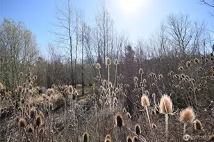 260 Secluded Way, Sequim, WA 98382 - Photo 30