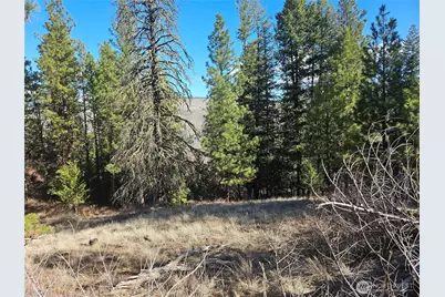 380 Lot Chopaka Tbd Road, Tonasket, WA 98855 - Photo 8