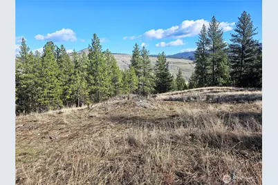 380 Lot Chopaka Tbd Road, Tonasket, WA 98855 - Photo 2