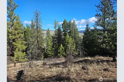 380 Lot Chopaka Tbd Road, Tonasket, WA 98855 - Photo 6