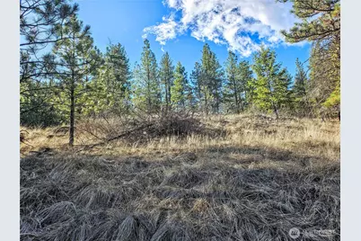 380 Lot Chopaka Tbd Road, Tonasket, WA 98855 - Photo 10