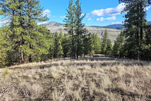 380 Lot Chopaka Tbd Rd, Tonasket, WA 98855 - Photo 1