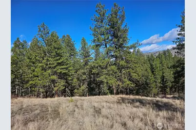 380 Lot Chopaka Tbd Road, Tonasket, WA 98855 - Photo 12
