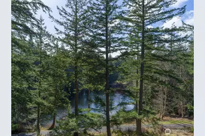 61 Sunrise Bluff, Orcas Island, WA 98279 - Photo 36