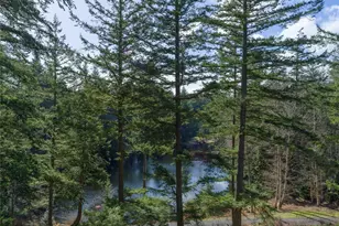 61 Sunrise Bluff, Orcas Island, WA 98279 - Photo 36