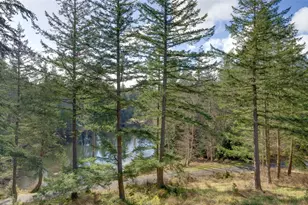61 Sunrise Bluff, Orcas Island, WA 98279 - Photo 4