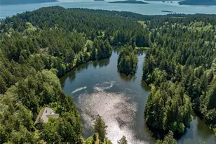 61 Sunrise Bluff, Orcas Island, WA 98279 - Photo 36