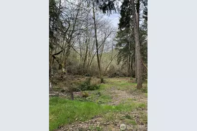 8914 130th Avenue Ct, Anderson Island, WA 98303 - Photo 1