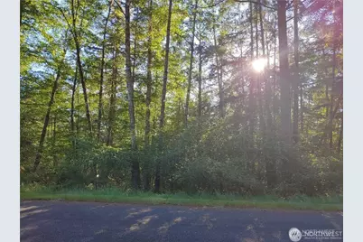 8906 130th Avenue Ct, Anderson Island, WA 98303 - Photo 1
