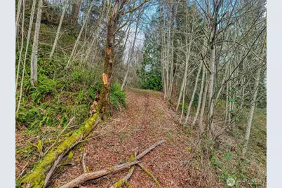 2401 NE Solar View Court, Keyport, WA 98345 - Photo 24