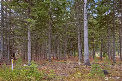 230 Goat Creek Lane, Cle Elum, WA 98922 - Photo 2