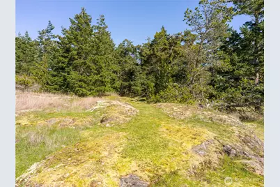 0 Caldwell, Lopez Island, WA 98261 - Photo 18