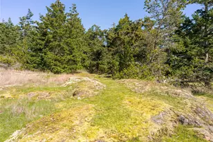 0 Caldwell, Lopez Island, WA 98261 - Photo 18