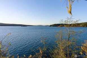 385 Doe Run, Lopez Island, WA 98261 - Photo 4