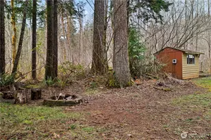 380 N Duckabush Dr E, Hoodsport, WA 98548 - Photo 24