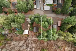 380 N Duckabush Dr E, Hoodsport, WA 98548 - Photo 30