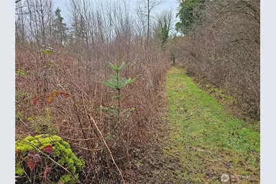 13036 188th Avenue SW #B, Rochester, WA 98579 - Photo 8