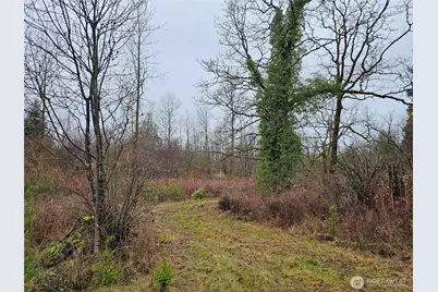 13036 188th Avenue SW #B, Rochester, WA 98579 - Photo 6