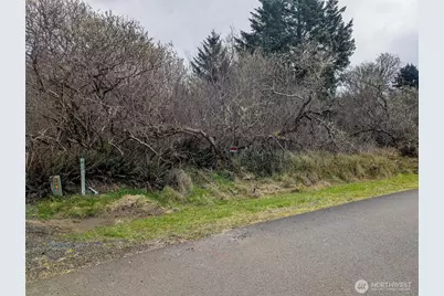 572 Puffin Avenue NE, Ocean Shores, WA 98569 - Photo 2
