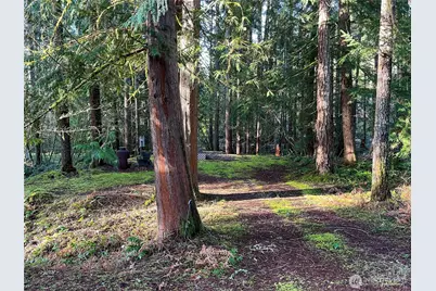 101 N Duckabush Loop W, Hoodsport, WA 98548 - Photo 2