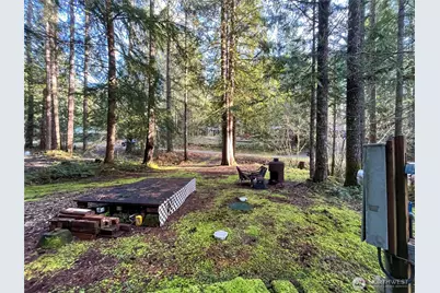 101 N Duckabush Loop W, Hoodsport, WA 98548 - Photo 8